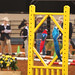Larry Neuman Photo 12