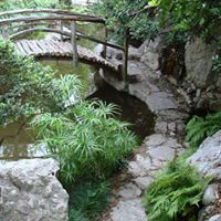 Michelle Michaelis Photo 22