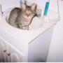 Heather Culbertson Photo 19