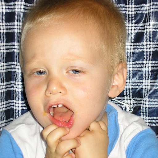 William Brock Photo 32 William Brock Photo 32