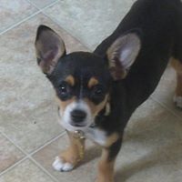 Bobbie Mccain Photo 2