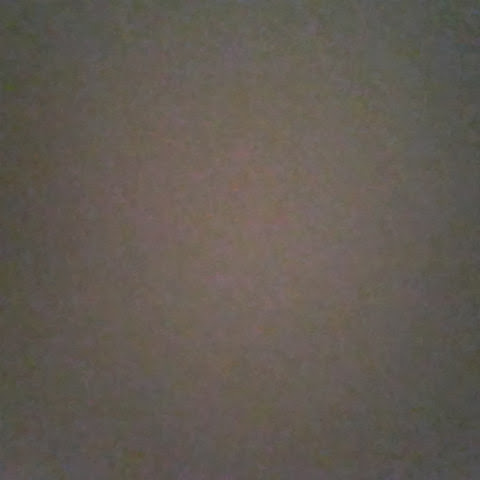 Shauna Rudolph Photo 2