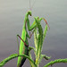 Keith Long Photo 41