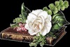 Brenda Cheek Photo 5