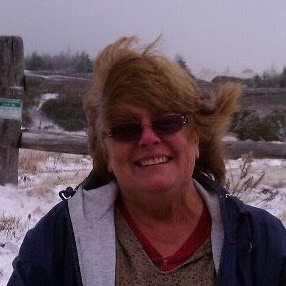 Sandy Sapp Photo 23