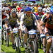 Bruce Collins Photo 37
