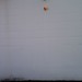 Joann Walker Photo 18