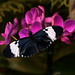 Gary Branson Photo 32
