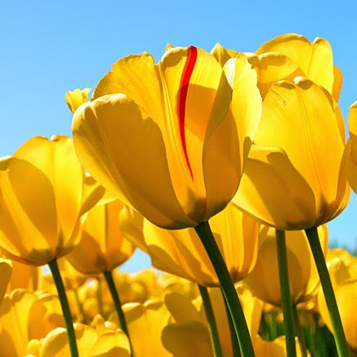 Patricia Valdez Photo 24