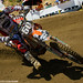 Will Hahn Photo 16