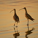 Bill Bird Photo 30