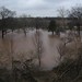 Gale Flood Photo 8