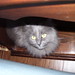 Wanda Peek Photo 4