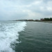 Hee Ko Photo 8