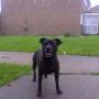 Alice Meadows Photo 12