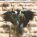 Angel Fields Photo 38