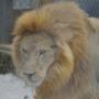 Genevieve Peterson Photo 21