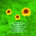 Christian Word Photo 22