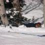 Christian Bray Photo 22