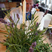 Kenneth Kitchen Photo 25