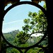 Susan Havers Photo 2