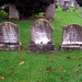 Nicholas Graves Photo 29