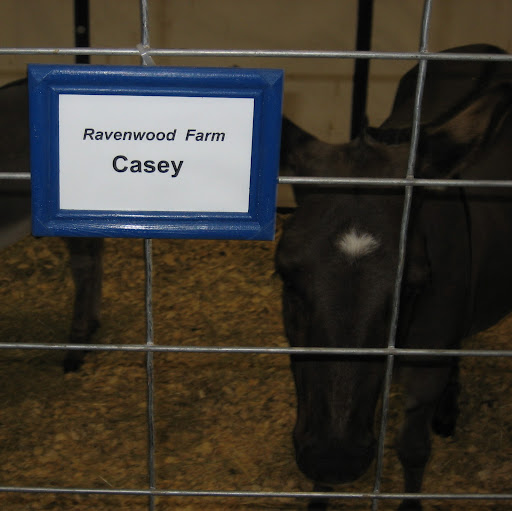Mary Casey Photo 13