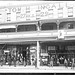 Tom Ingalls Photo 12