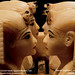 Kenneth Reis Photo 12