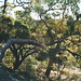 Glen Bush Photo 13