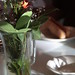 Barbara Andersen Photo 35