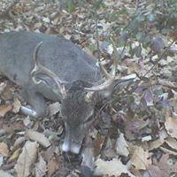 James Talbott Photo 29