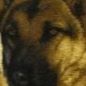Sharon Lockard Photo 9