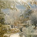 Virginia Roberson Photo 13