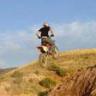 Jimmy Ellison Photo 21