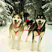 Chris Heeter Photo 12