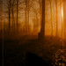 James Corley Photo 26
