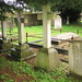 Peter Wainwright Photo 19