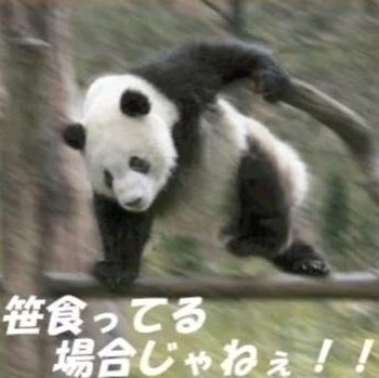 Joe Black Photo 15