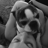 Mollie Schmidt Photo 15