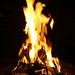 Frances Goodrich Photo 8