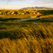 Alberta Stone Photo 10