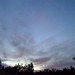 Dawn Vaughn Photo 15
