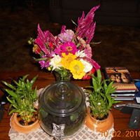 Terri Burch Photo 5