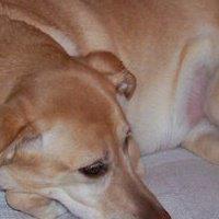 Joyce Keeney Photo 4