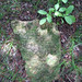 Ginger Graves Photo 18