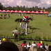 Marcela Parra Photo 15