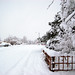 Patrick Vea Photo 10