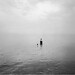 Harry Callahan Photo 14