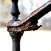 David Banister Photo 21